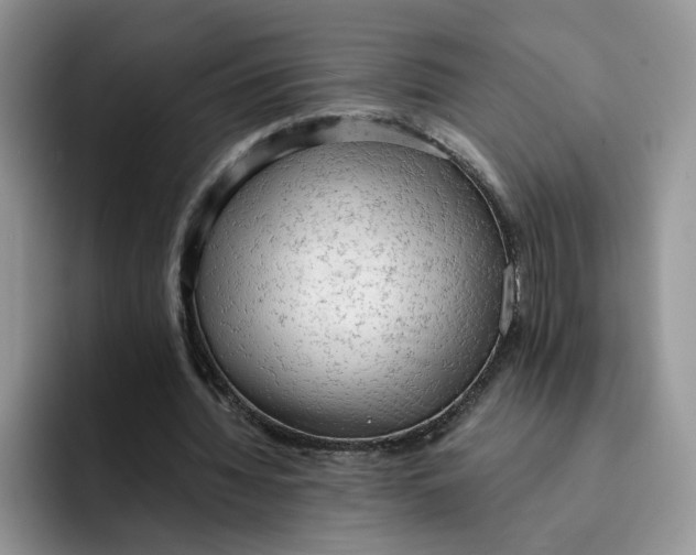 X0000091570436200709171100