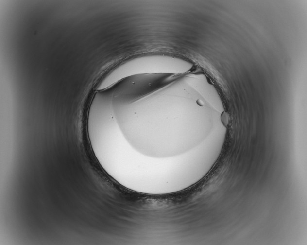 X0000091570442200709171100