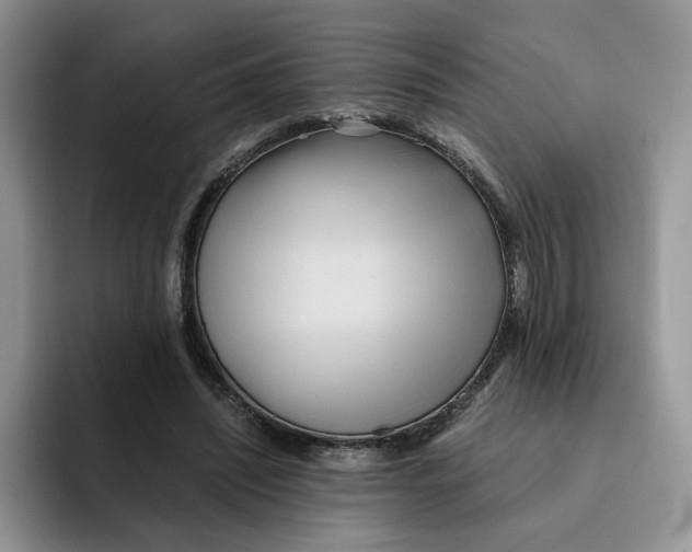 X0000091570444200709171100