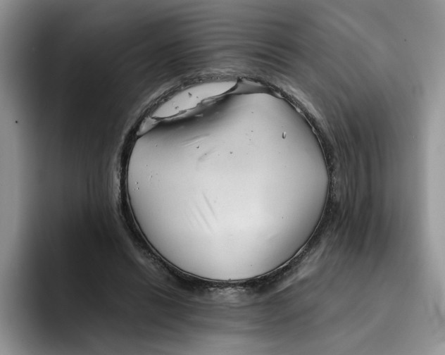 X0000091570446200709171100