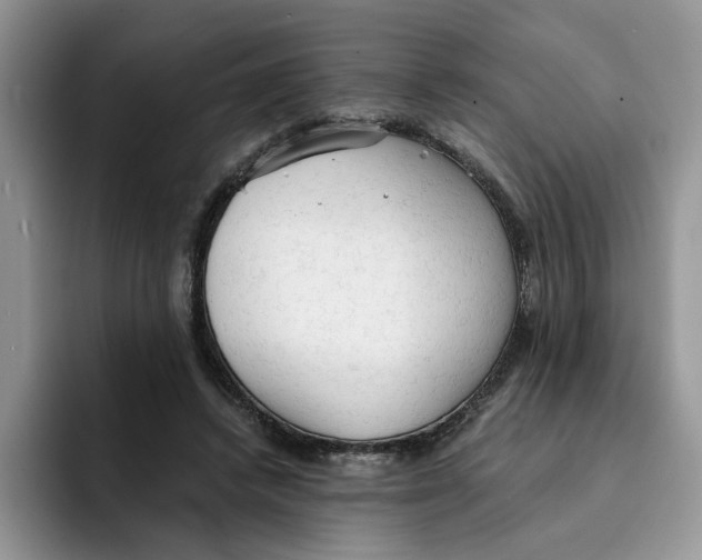 X0000091570448200709171100