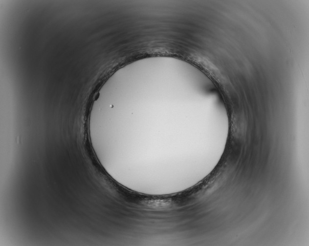 X0000091570449200709171100