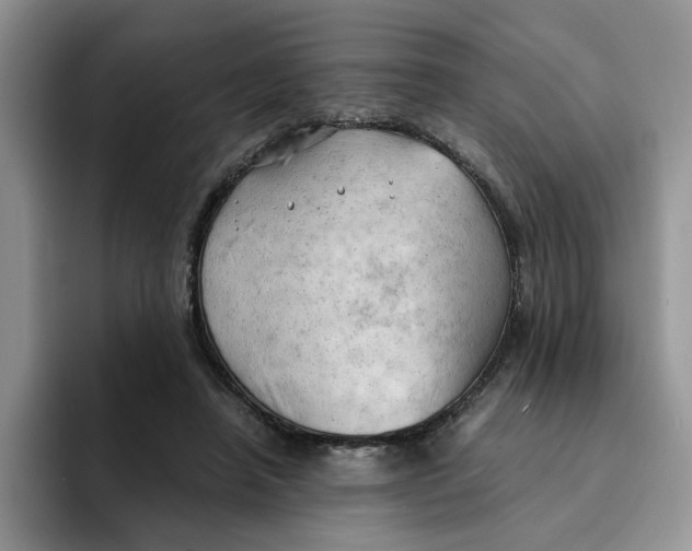 X0000091570450200709171100