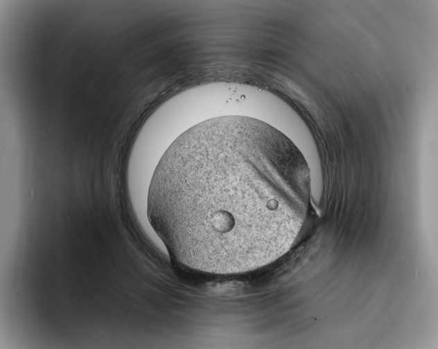 X0000091570452200709171100