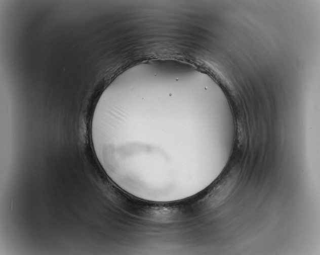 X0000091570453200709171100