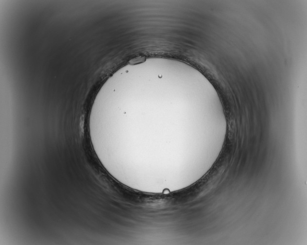 X0000091570454200709171100