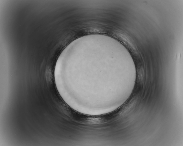 X0000091570457200709171100