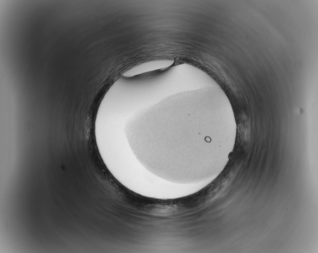 X0000091570458200709171100