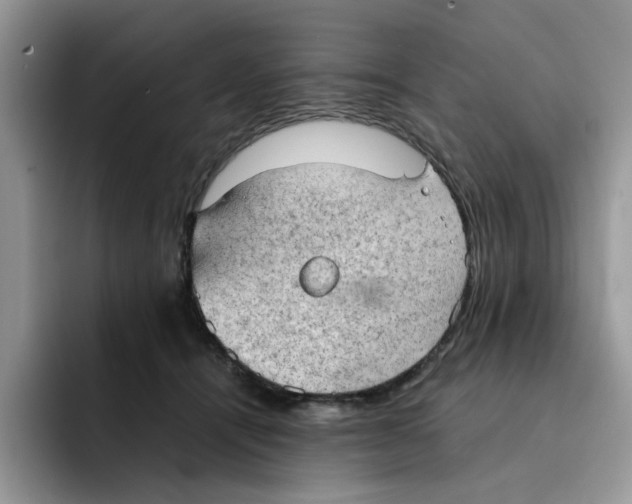 X0000091570464200709171101