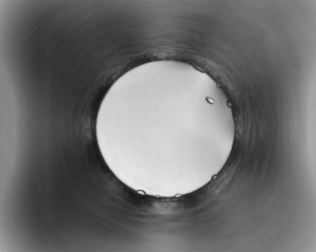 X0000091570470200709171101