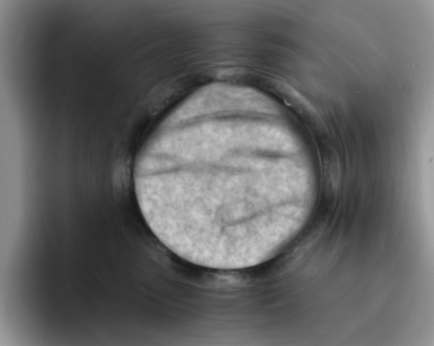 X0000091570475200709171101