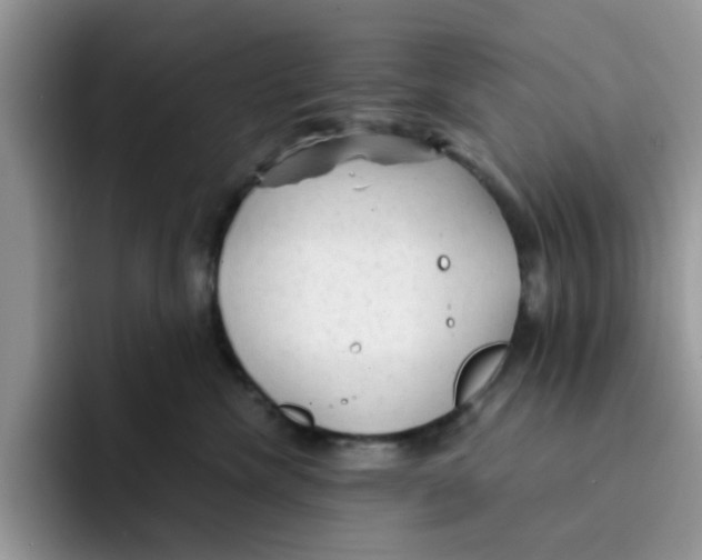 X0000091570476200709171101