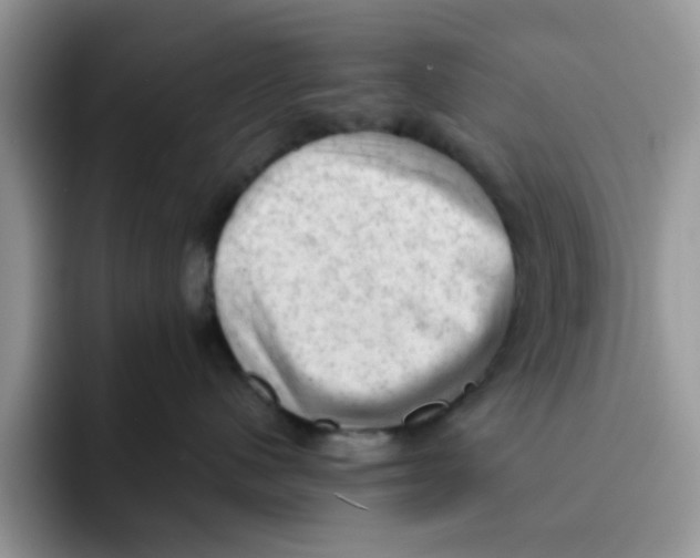 X0000091570480200709171101