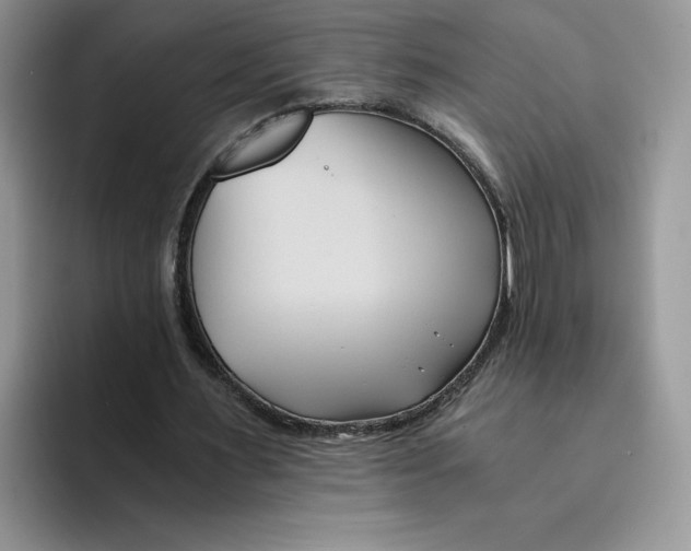 X0000091570483200709171100