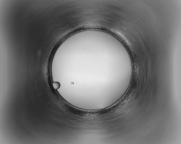 X0000091570487200709171100