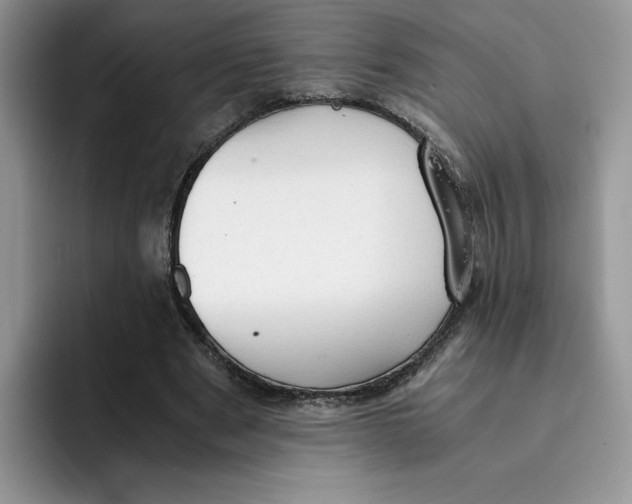 X0000091570489200709171100