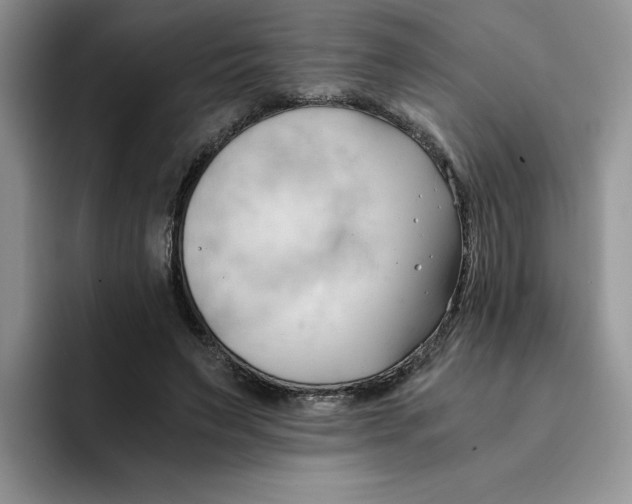 X0000091570495200709171100