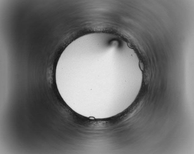 X0000091570497200709171100