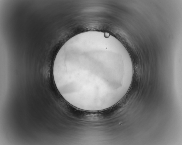 X0000091570499200709171100