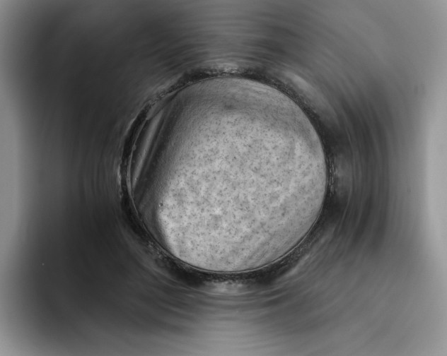 X0000091570500200709171100