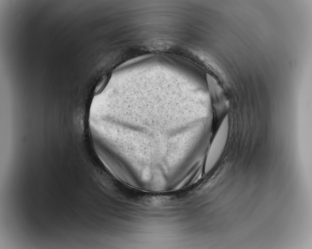 X0000091570501200709171100