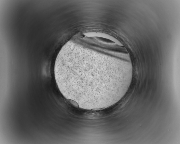 X0000091570512200709171100