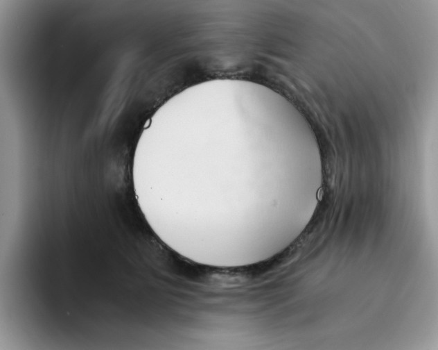 X0000091570515200709171100