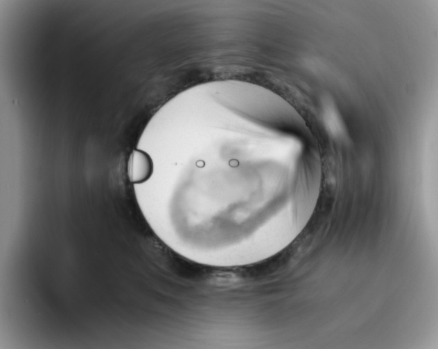 X0000091570519200709171100