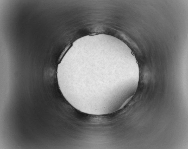 X0000091570521200709171100