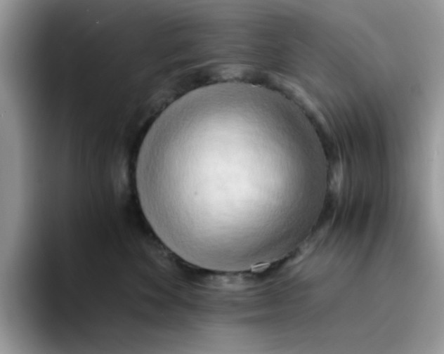 X0000091570524200709171100