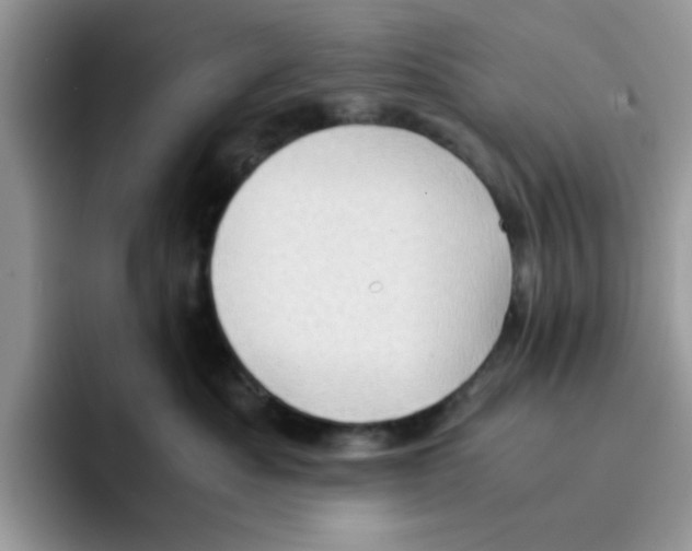 X0000091570525200709171100