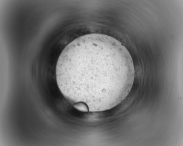 X0000091570527200709171100