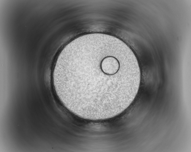 X0000091570534200709171059