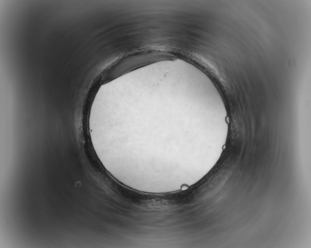 X0000091570535200709171059