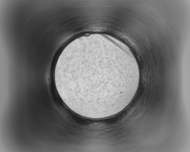 X0000091570536200709171059