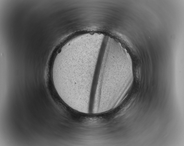 X0000091570540200709171059