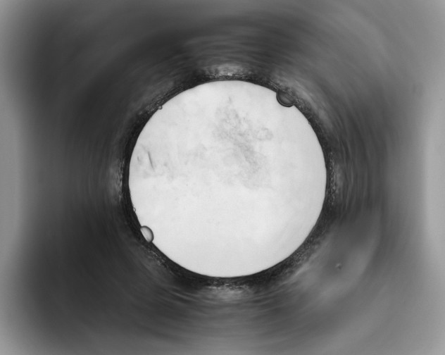 X0000091570545200709171059