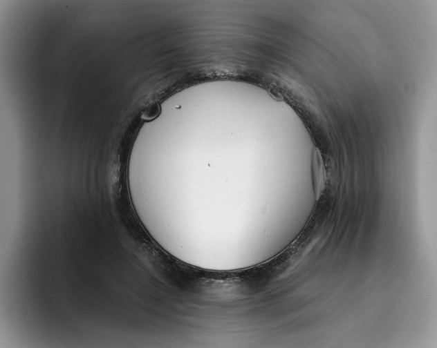 X0000091570548200709171059