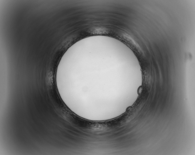 X0000091570549200709171059