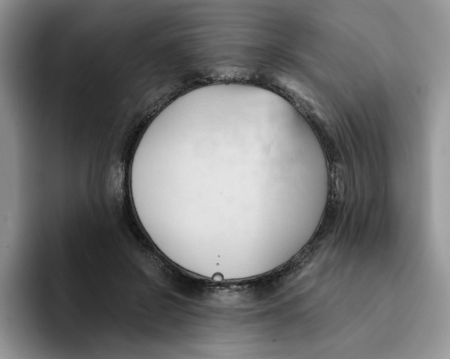 X0000091570550200709171059