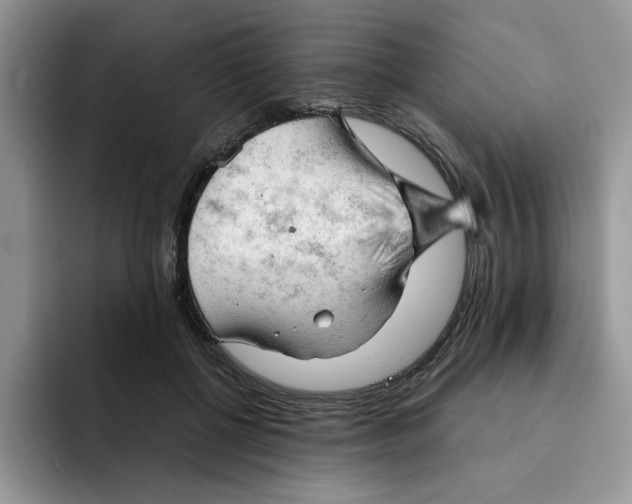 X0000091570552200709171059