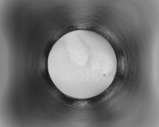 X0000091570554200709171059