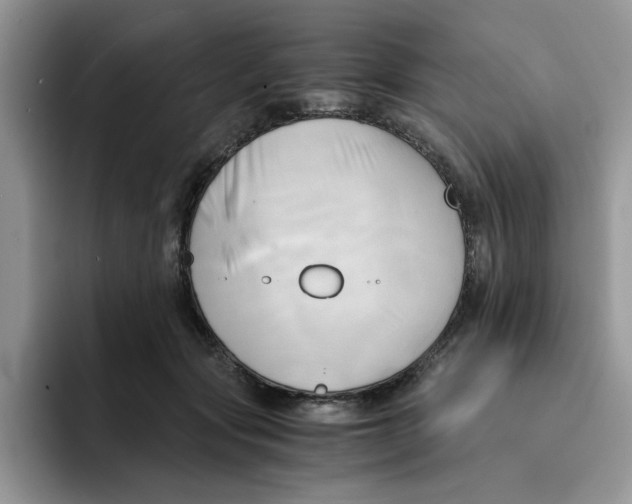 X0000091570557200709171059