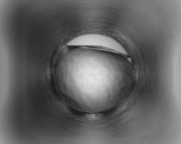 X0000091570558200709171059