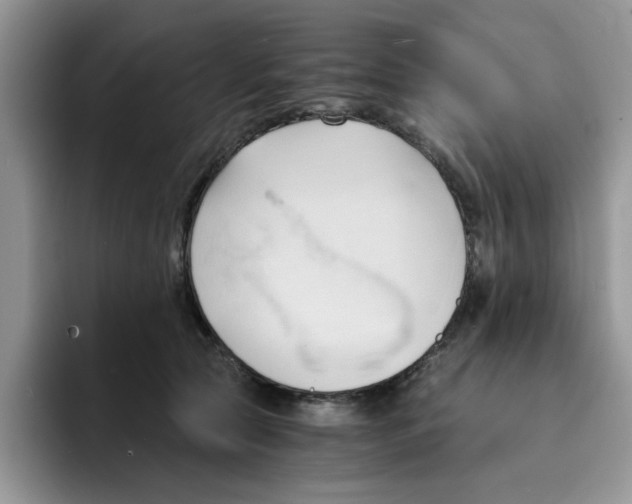 X0000091570561200709171059