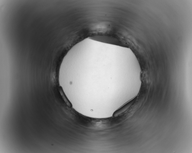 X0000091570564200709171059