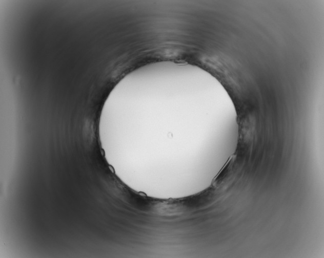 X0000091570568200709171100