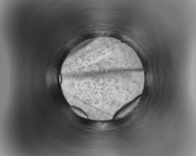 X0000091570570200709171100