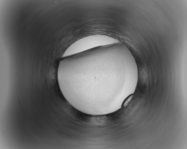 X0000091570571200709171100