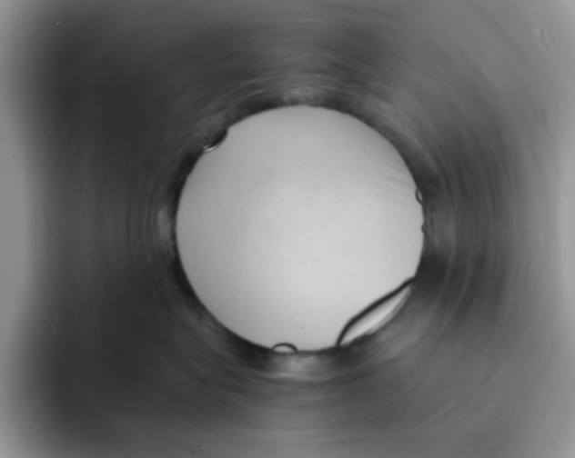 X0000091570575200709171100